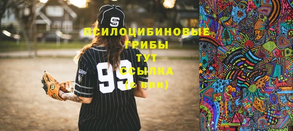 твердый Алексин