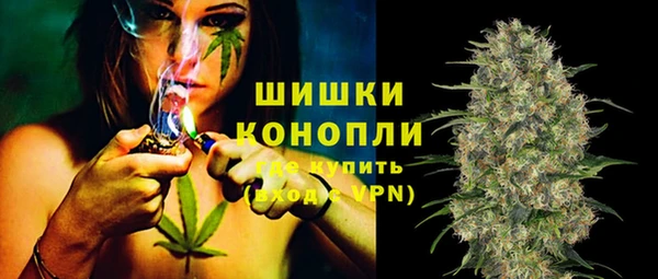 тгк Абаза